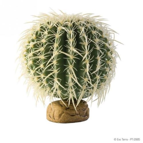 Décoration Cactus Oursin