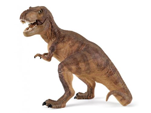 PAPO - Tyrannosaure rex
