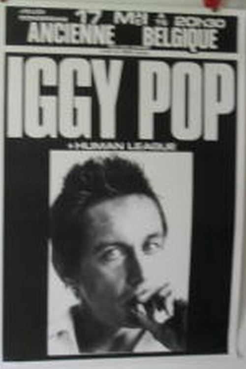 Pop Iggy - 60x86 cm - AFFICHE / POSTER
