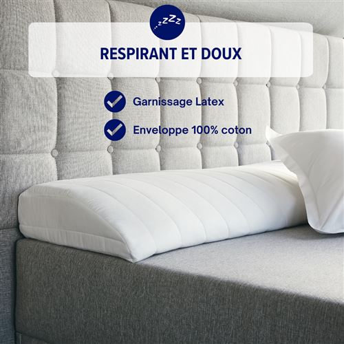 Traversin Pupitre Latex - 160 cm - Traversin latex - Confort ferme - Housse  100% coton - Dreamway - Achat & prix