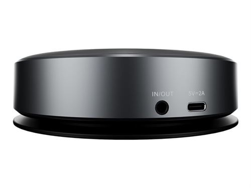 iiyama - UC SPK01L Haut-parleur Bluetooth pour les grandes salles de réunion