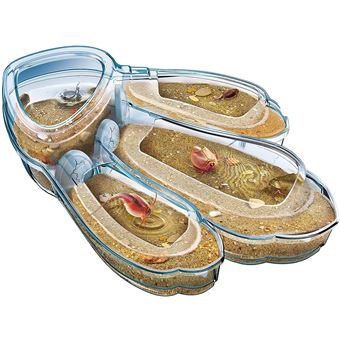 Jeu scientifique Clementoni Triops