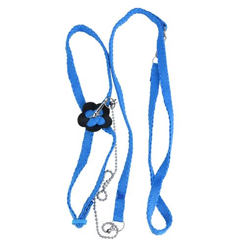 Corde de traction d'oiseau souple réglable en fibre pour l'entraînement et le jeu de perroquet (bleu)