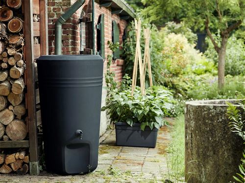 Récupérateur Deau De Pluie Rain Barrel Elho