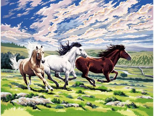 Mammut - Malen nach Zahlen - Pferde im Galopp