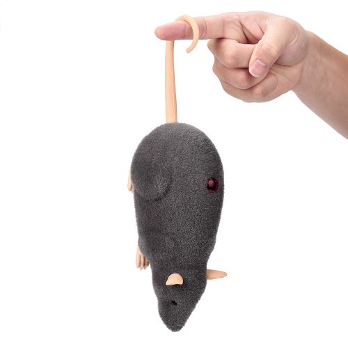 MKYOKO Souris avec télécommande, faux ratorata haute simulation, jouet RC,  souris RC taille mini, télécommande électronique amusante sans fil, souris  rat, jouet pour as : : Animalerie