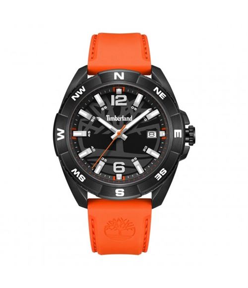 Montre Homme Timberland TDWGN2202103