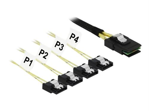 Delock - Câble SATA / SAS - SAS 6Gbit/s - Mini SAS (SFF-8087) (M) pour 4 x SATA (R) - 1 m