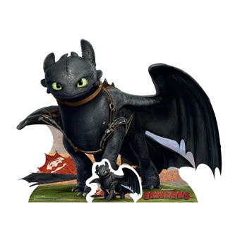 DreamWorks Dragons, Krokmou Dragon en peluche de qualité supérieure pour  enfants à partir de 4 ans 20,3 cm : : Jeux et Jouets