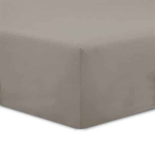 Vision - Drap housse Taupe - 140x190cm - 100% coton
