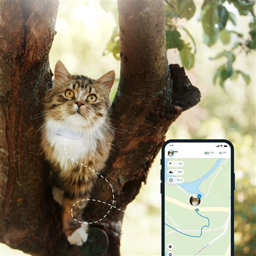 Tractive Traceur Gps Chat Avec Suivi D Activite Pour Tout Collier Chat Colliers Harnais Et Laisses Pour Chat Achat Prix Fnac Tractive Traceur Gps Chat Avec Suivi D Activite Pour Tout Collier Chat Colliers Harnais Et Laisses Pour Chat Achat Prix Fnac