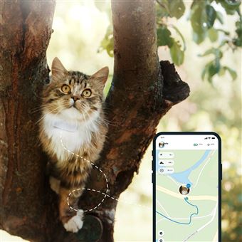Tractive Traceur Gps Chat Avec Suivi D Activite Pour Tout Collier Chat Colliers Harnais Et Laisses Pour Chat Achat Prix Fnac Tractive Traceur Gps Chat Avec Suivi D Activite Pour Tout Collier Chat Colliers Harnais Et Laisses Pour Chat Achat Prix Fnac