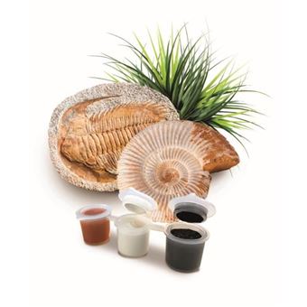 Jeu scientifique Clementoni Triops et le monde des dinosaures