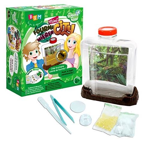 Bsm - ws 925 - jeu scientifique - mini fourmi city