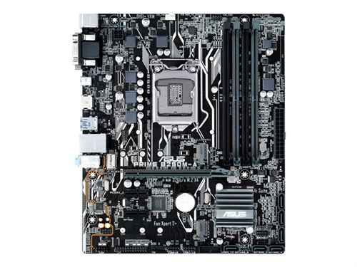 ASUS PRIME B250M-A - carte-mère - micro ATX - Socket LGA1151 - B250