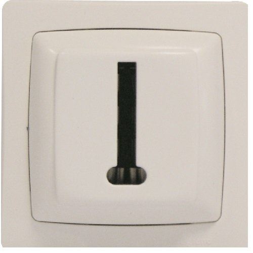 Legrand Blanc Asl - En Saillie - Image 2