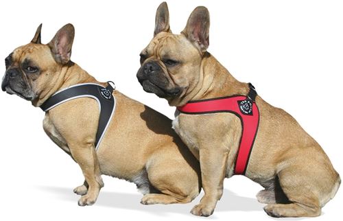 Meilleurs prix pour Tre Ponti Fibbia Harnais pour petits chiens Noir