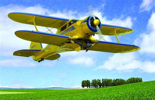Maquette Avion : Beechcraft D17S Roden