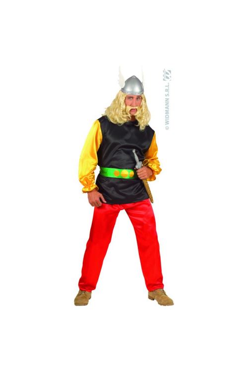 Costume petit gaulois s