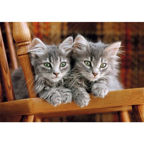 Clementoni - Puzzle Compact - 500 pièces - Chatons - Image 2