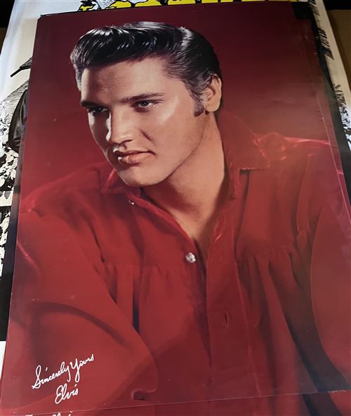 Affiche de concert originale - Elvis Presley - RCA PROMO - 39x58cm