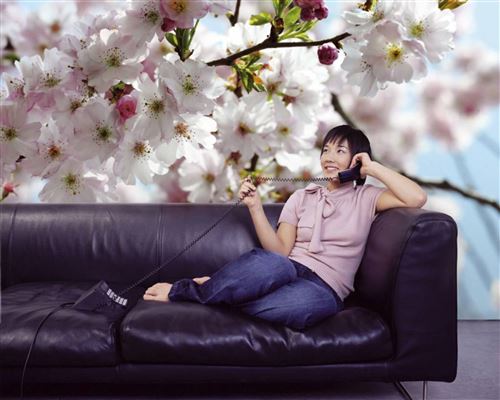 Komar 8-507 Photo Murale, Printemps, 368cm x 254cm