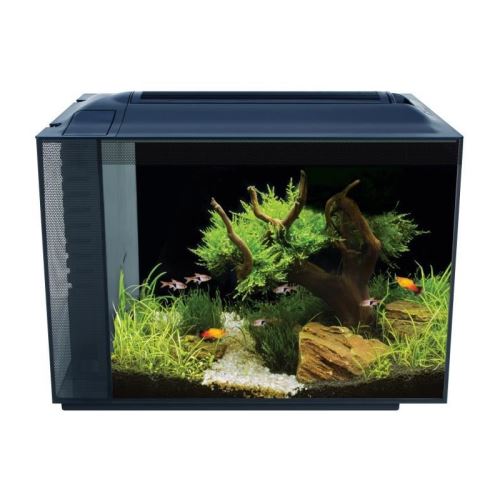 fluval aquarium équipé spec xv