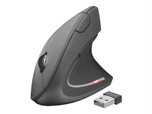 Souris verticale, souris ergonomique sans fil, souris d'ordinateur
