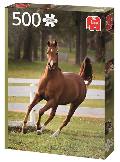 Jumbo PC Jouer scie sauteuse Colt 500 pièces