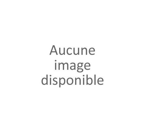 INFOSEC Onduleur E3 PERFORMANCE RT - 2500 VA