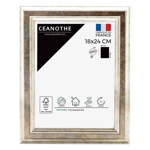 Cadre photo Gaia argent 18x24 cm, Résine plastique - marque française