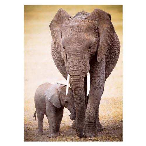 Eurographics Elephant & Baby (1000)