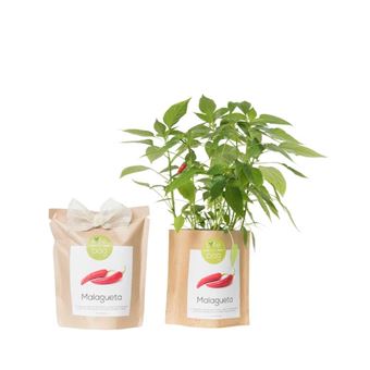 Life in a Bag - kit bio prêt à pousser piments - 1