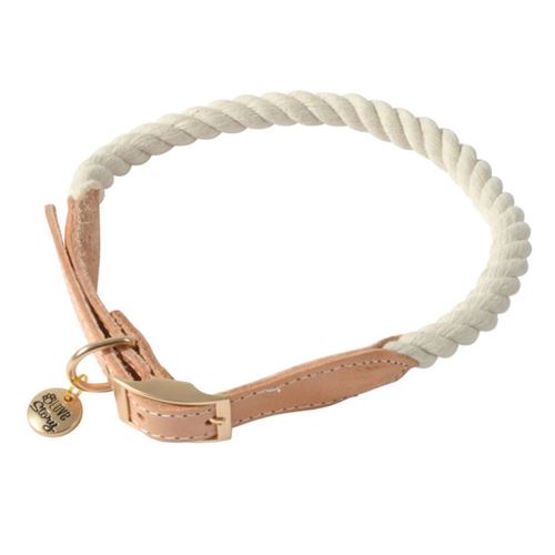 Meilleurs prix pour Collier Pour Chien Réglable City 62cm Écru