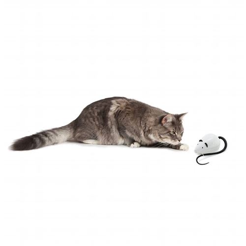 Frolicat rolorat hotsell