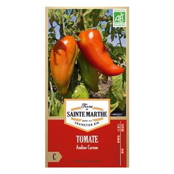 Tomate Andine Cornue bio - Graines à semer - 1