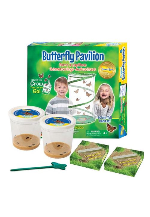 kit d'élevage de papillons, modèle pavillon