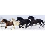 Puzzle 500 Pièces : Chevaux dans la Neige, Nathan
