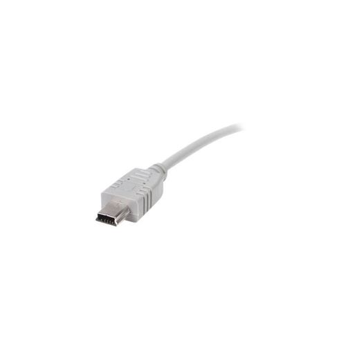 StarTech.com 1 ft Mini USB 2.0 Cable - A to Mini B - M/M - câble USB - 30 cm