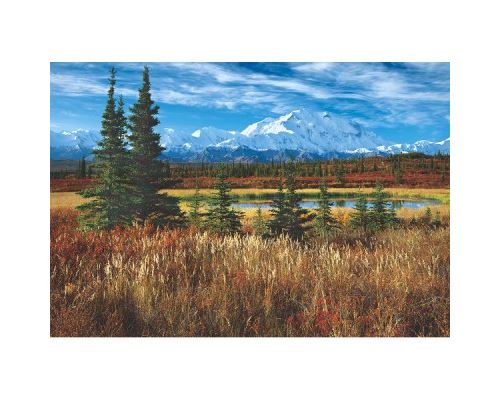 Puzzle 1500 Pièces : Etats-Unis : Parc National De Denali, Educa