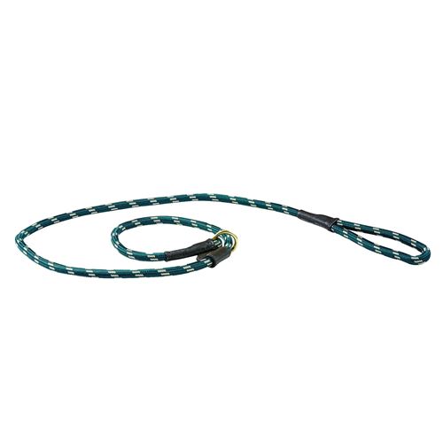 Comparer les prix de Weatherbeeta - Laisse - Chien (1.8 m) (Vert/ marron) - UTWB1345