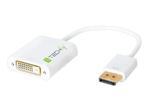 TECHly - Adaptateur vidéo - liaison double - DisplayPort (M) pour DVI-D (F) - DisplayPort 1.2 - 15 cm - démarré, moulé, support 1080p - blanc