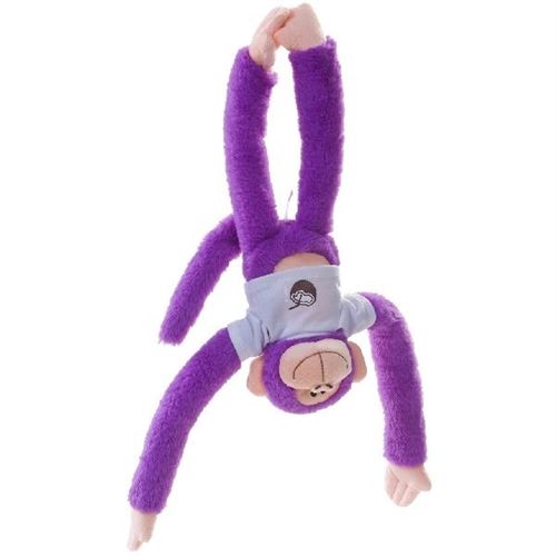 Câlin de singe arc-en-ciel de noix de coco 40cm