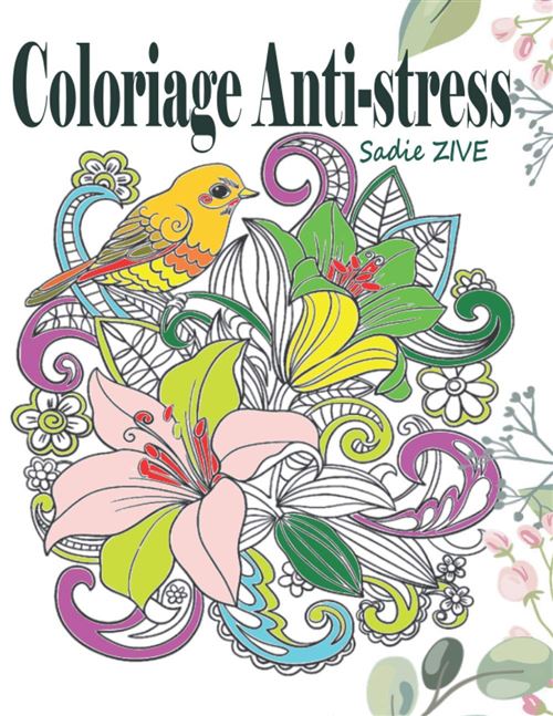 Livre de Coloriage Adultes Anti-stress - 75 Dessins - 76 pages A4