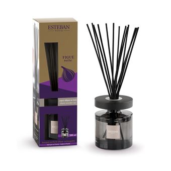 Bouquet parfumé Ellipse figue noire 200ml - Esteban - Gris - Verre