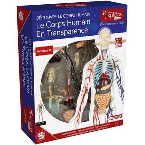 MGM - Explora - Anatomie squelette corps humain transparent - Experience anatomie
