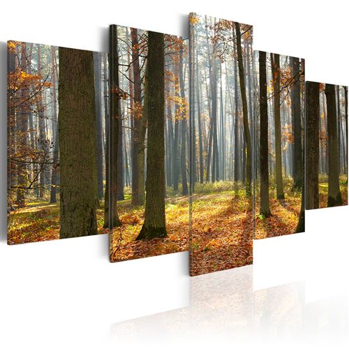 Tableau - Un joli paysage de forêt - Décoration, image, art | Paysages | Forêt |
