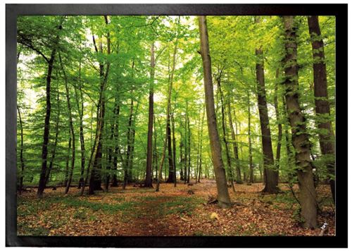 Forêts Paillasson Essuie-Pieds - Forêt Du Silence (50x70 cm)