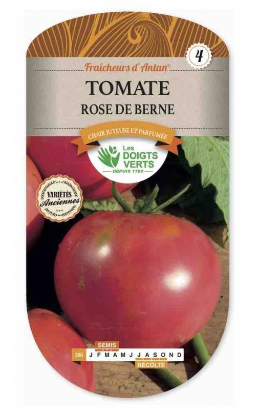 Semence Tomate Rose de Berne