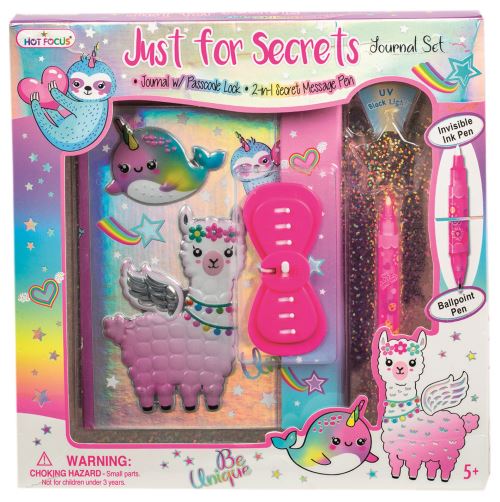 Carnet secret et stylo magique